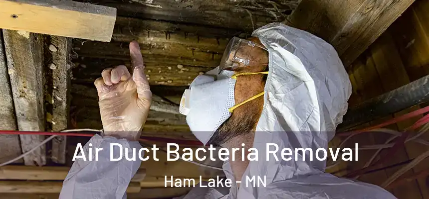 Air Duct Bacteria Removal Ham Lake - MN