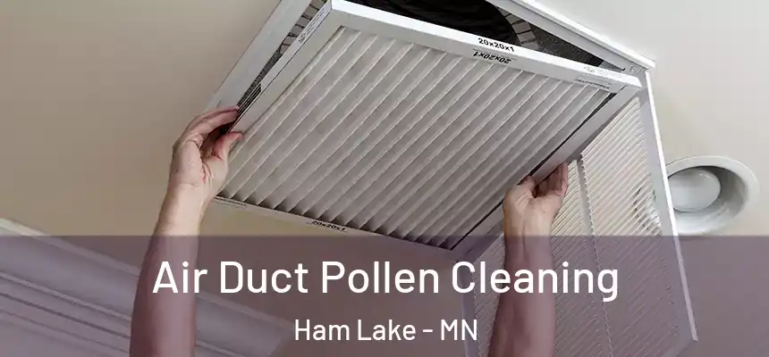  Air Duct Pollen Cleaning Ham Lake - MN