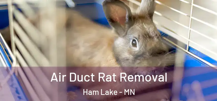  Air Duct Rat Removal Ham Lake - MN