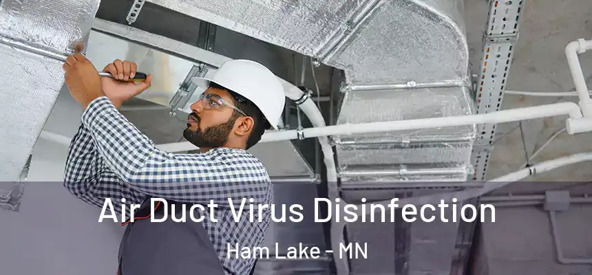 Air Duct Virus Disinfection Ham Lake - MN