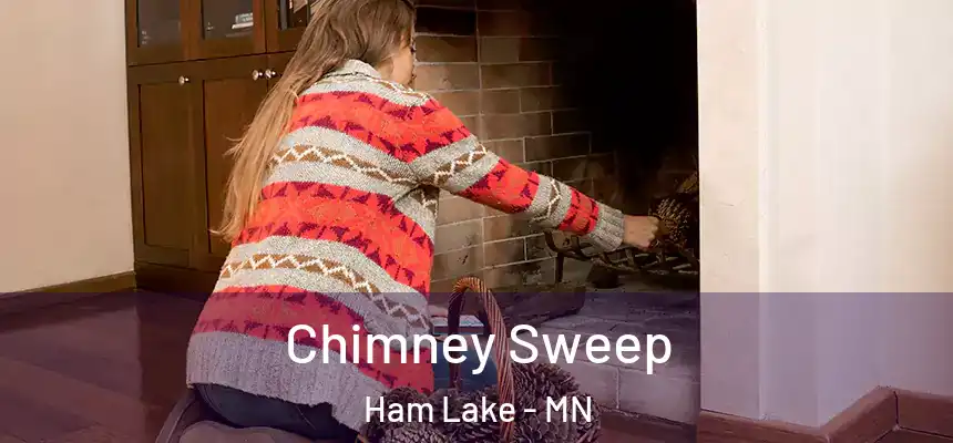  Chimney Sweep Ham Lake - MN