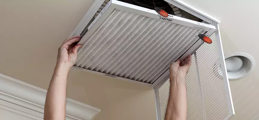 Preventive Cockroach-Proofing for Ducts in Ham Lake