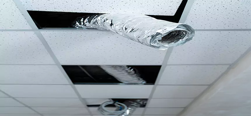 Our Air Duct Pet Hair Removal Services in Ham Lake, MN