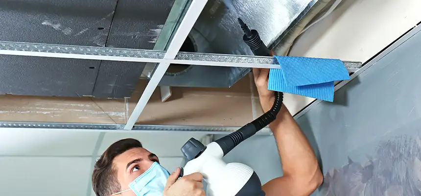 Our Air Duct Rodent Removal Services in Ham Lake, MN