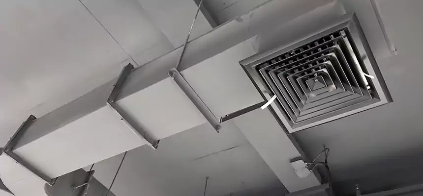 Restorative Allergy Relief Vent Cleaning – Coil, Blower & Housing Detail in Ham Lake