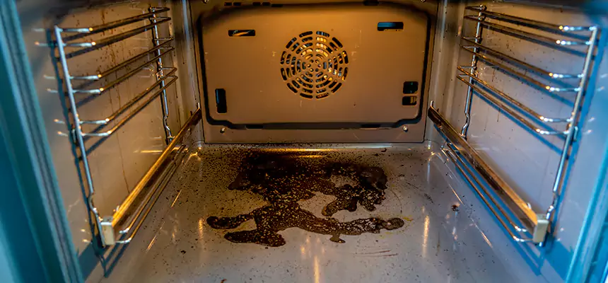 Our Dryer Vent Mold Cleaning Services in Ham Lake, MN