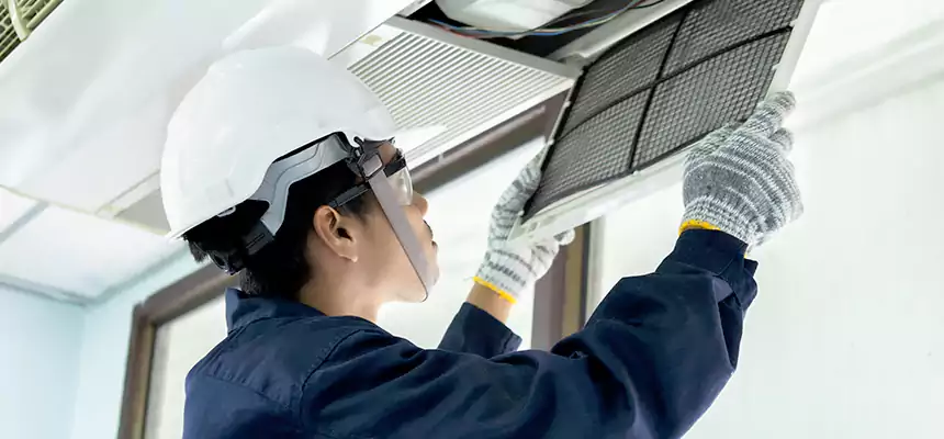 Our Mold & Mildew Removal from Air Ducts Services in Ham Lake, MN