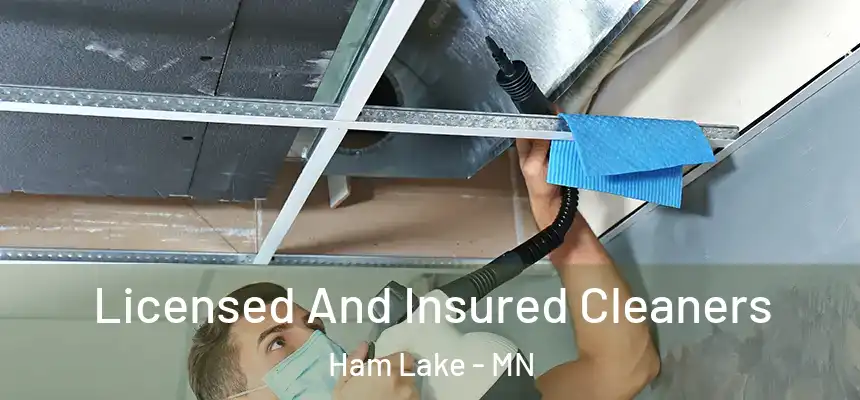Licensed And Insured Cleaners Ham Lake - MN
