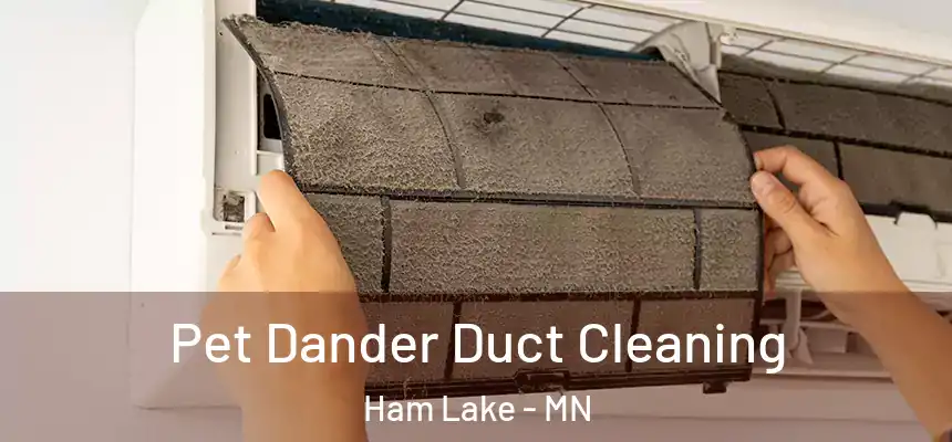 Pet Dander Duct Cleaning Ham Lake - MN