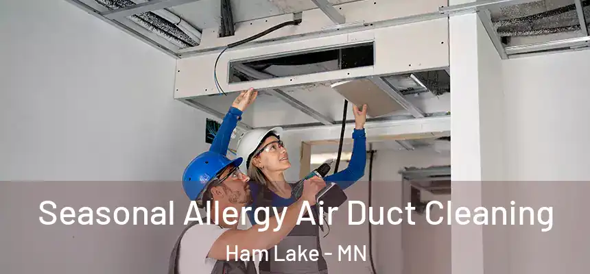 Seasonal Allergy Air Duct Cleaning Ham Lake - MN