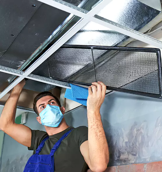 Professional Air Duct Pollen Cleaning in Ham Lake, MN