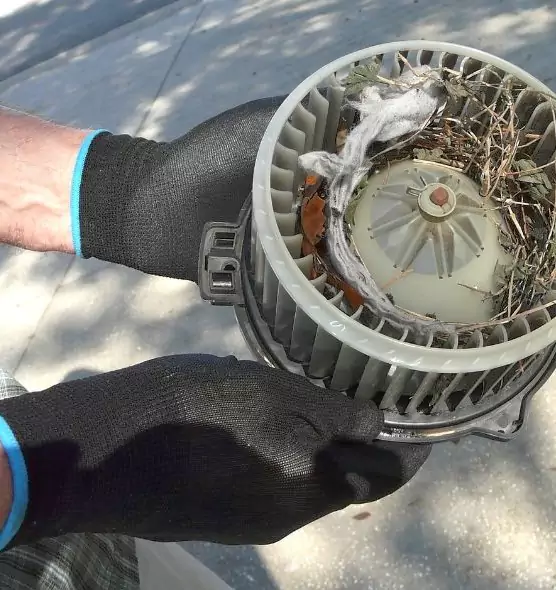 About Air Duct Rat Removal in Ham Lake, MN