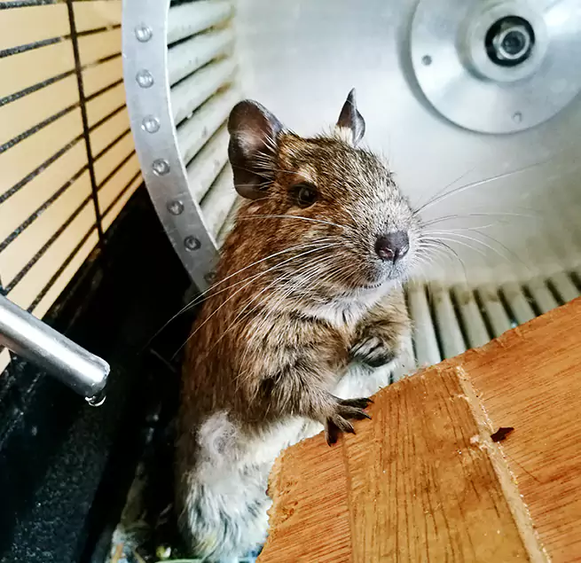 Why Homeowners & Businesses Trust Us Ham Lake, MN?