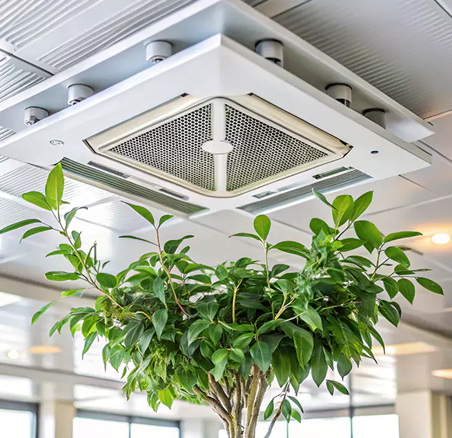 Why Homeowners & Businesses Trust Us in Ham Lake, MN?