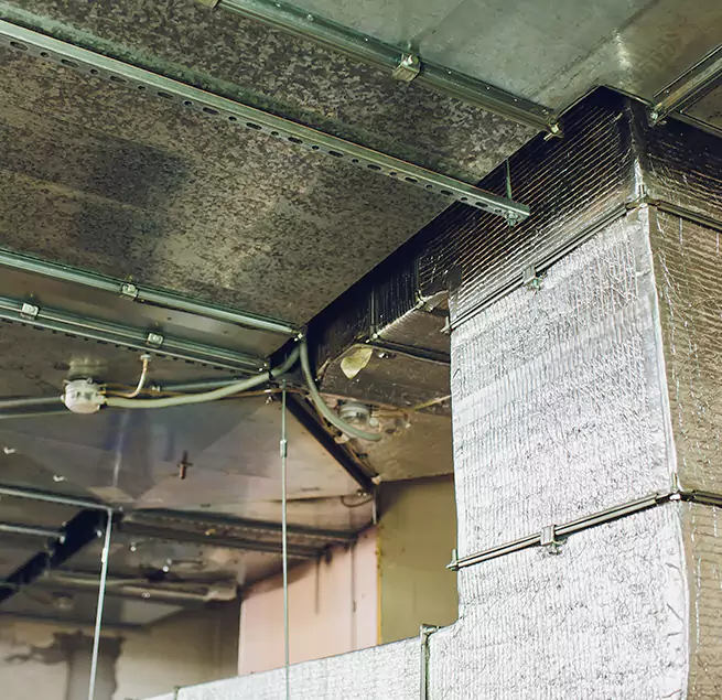 Why Homeowners & Businesses Trust Us in Ham Lake, MN?